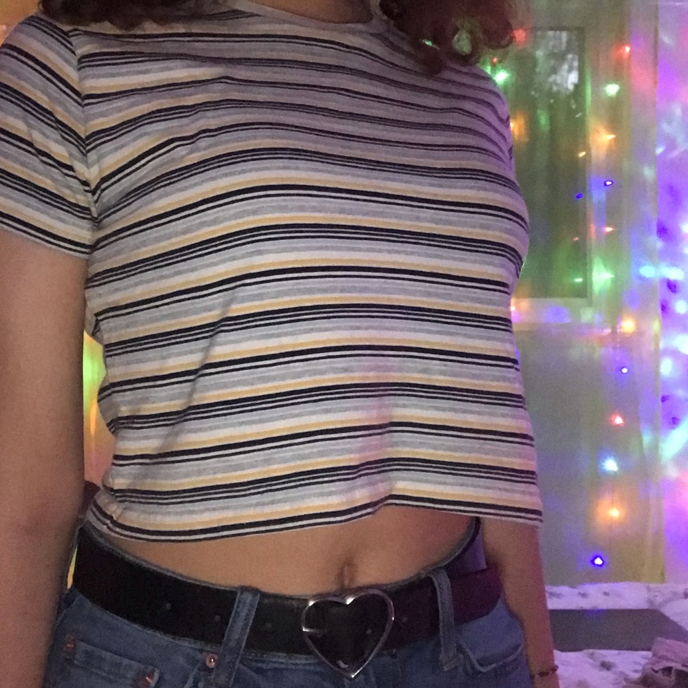 brandy melville striped crop top (#2)
